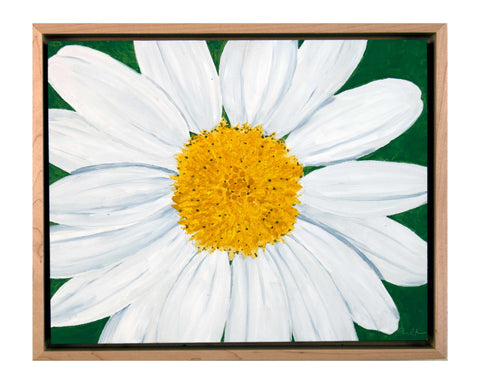 Daisies (Sold as a Set of Two) - Daisy